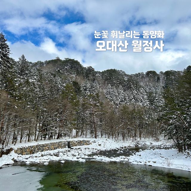 눈꽃 휘날리는 사찰여행, 월정사❄️