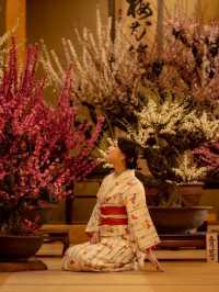 樹齢150年の枝垂れ梅が咲き誇る『お座敷ボン梅 梅花園』