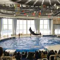 【茨城県】アクアワールド　大洗水族館