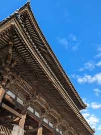 仁和寺の庭や池を眺めるていると、神社とは、また違う…寺院独特の荘厳な美しさを感じる