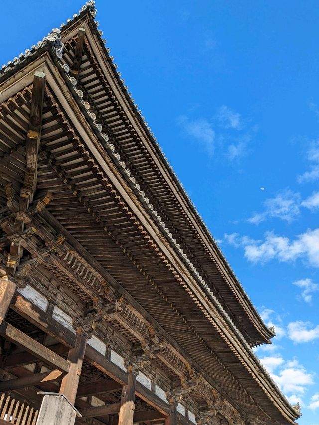 仁和寺の庭や池を眺めるていると、神社とは、また違う…寺院独特の荘厳な美しさを感じる