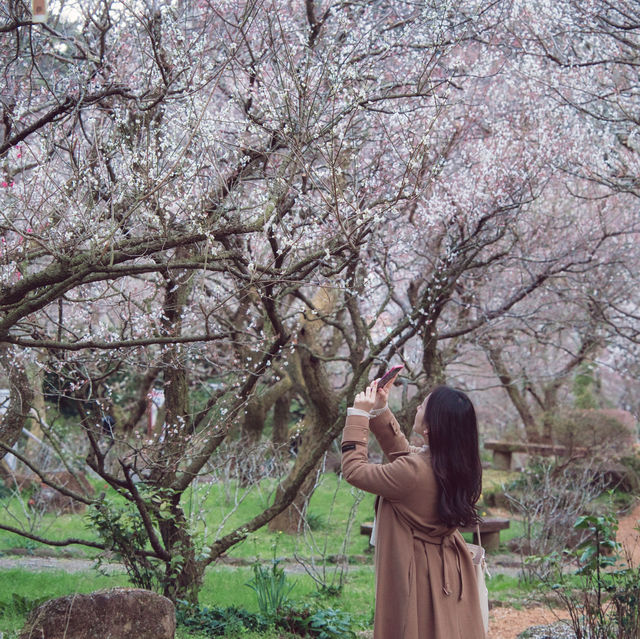 【熱海】春先取り🌸東京から2時間で行ける癒しスポット🌿
