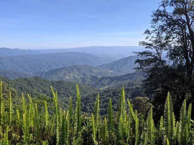 อุทยานแห่งชาติดอยภูคา