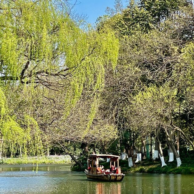 Blossoms' Passage: Yuxiu's Serenity