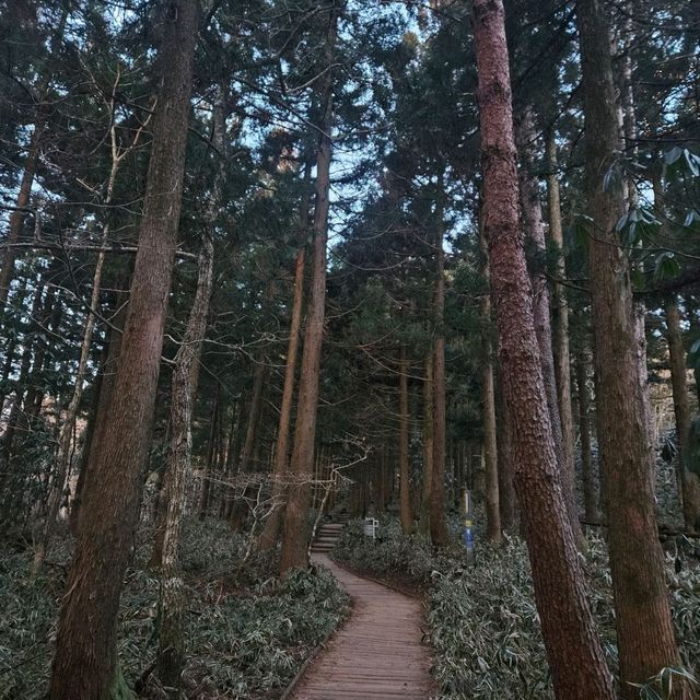 한발한발 올라 한라산 정상에 도착!! 