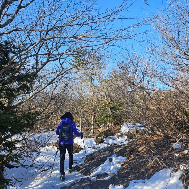 한발한발 올라 한라산 정상에 도착!! 
