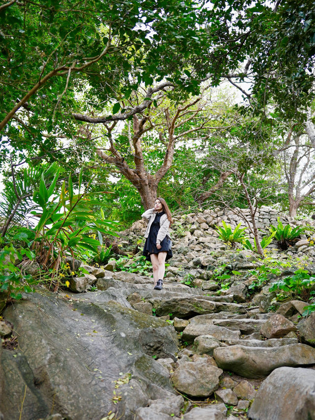 【沖縄/北部】世界遺産今帰仁城跡・伝統的な石垣と絶景