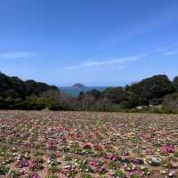 【能古島】福岡市からフェリーで10分！