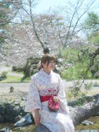 🇯🇵日本八阪神社🌸2024櫻花盛開😍🩷人像篇