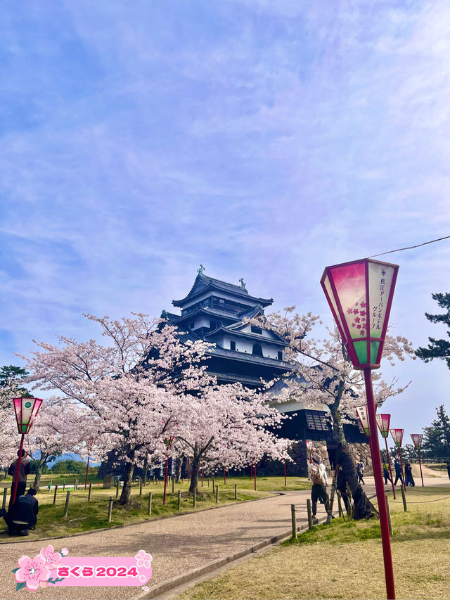 【島根　松江】お城まつり