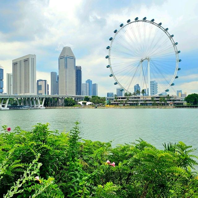 Supertree Grove 🌴 Singapore