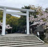 日本三大金運神社と言われてる安房神社