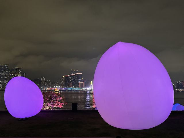 香港好去處 | 金鐘添馬公園 | teamLab: 光漣
