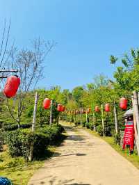 🇹🇭 Lee Wine Resort Tea Plantation