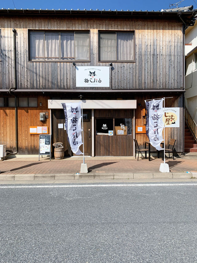 【福岡カフェ】猫ちゃん好きな店主さんのランチからスイーツまで楽しめるお店🐈