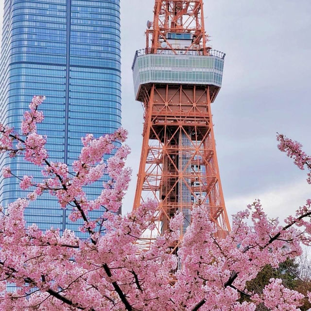 Tokyo Tower: the Ultimate Guide to Iconic Views! 🗼