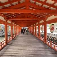 【厳島神社】海上に神秘的に建っている神社⛩️