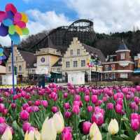 💐Everland Tulip Festival 🇰🇷