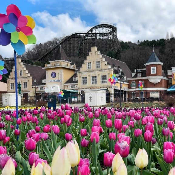 💐Everland Tulip Festival 🇰🇷