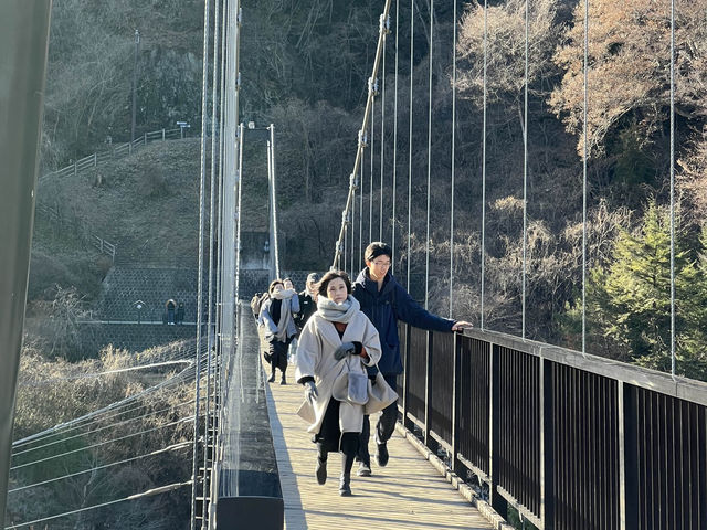 Why you should visit Nikko, Japan (Jan 2024)