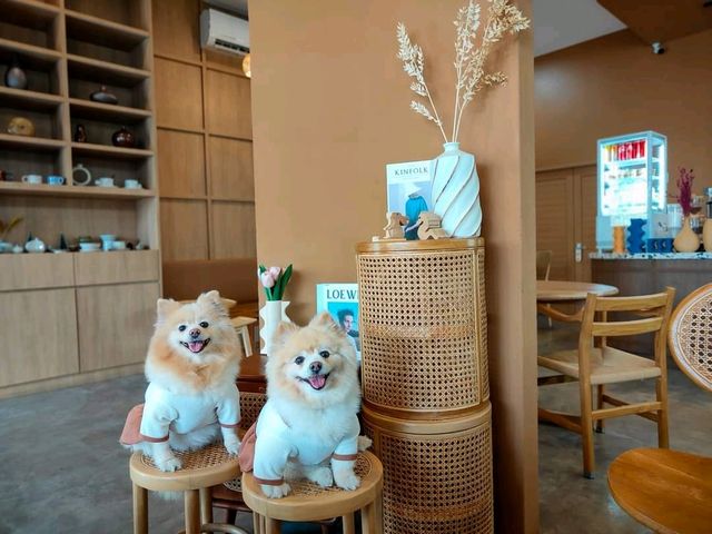 คาเฟ่&อาหารเหนือ ลำแต๊แต๊ หลังเซ็นทรัลชลบุรี 