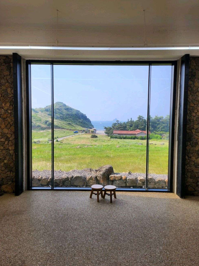 🍊🏡제주 유채꽃 명소 소색채본 카페