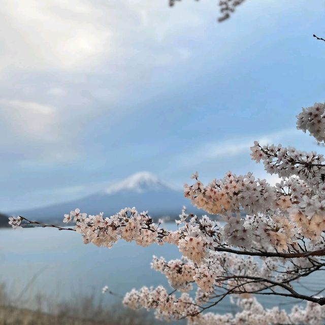 Kawaguchi Lake