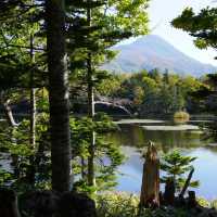 【臺北景點】外木山濱海景區：寧靜海岸漫步，感受大自然之美