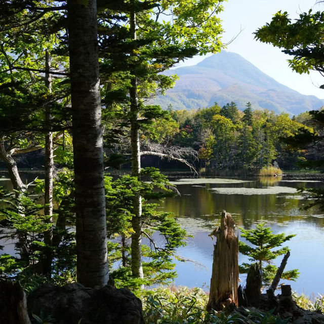 【臺北景點】外木山濱海景區：寧靜海岸漫步，感受大自然之美