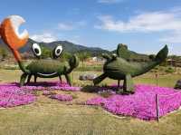 Suncheon Bay Nature Reserve 