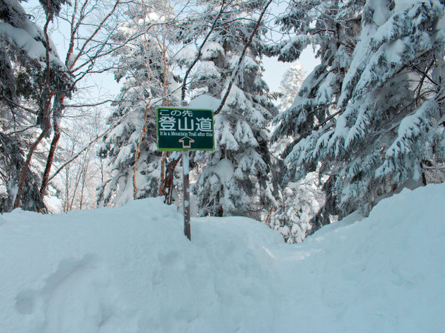 Winter Wonderland Experience at Shinhotaka Ropeway 🇯🇵