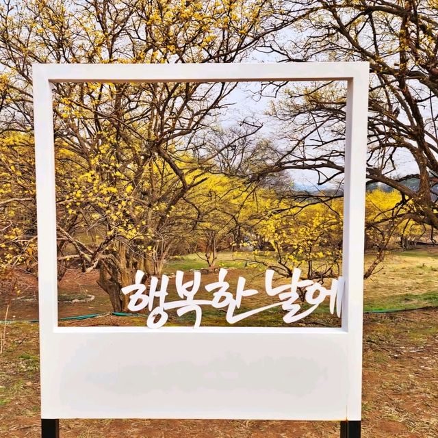 꽃도 웃고 당신도 웃는 백사마을 꽃도 웃고 당신도 웃는 백사마을