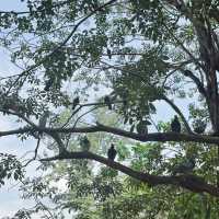 拉瑪公園：自然風光，呼吸清新空氣