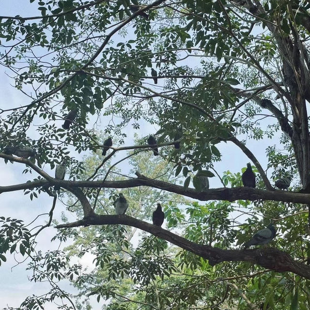 拉瑪公園：自然風光，呼吸清新空氣