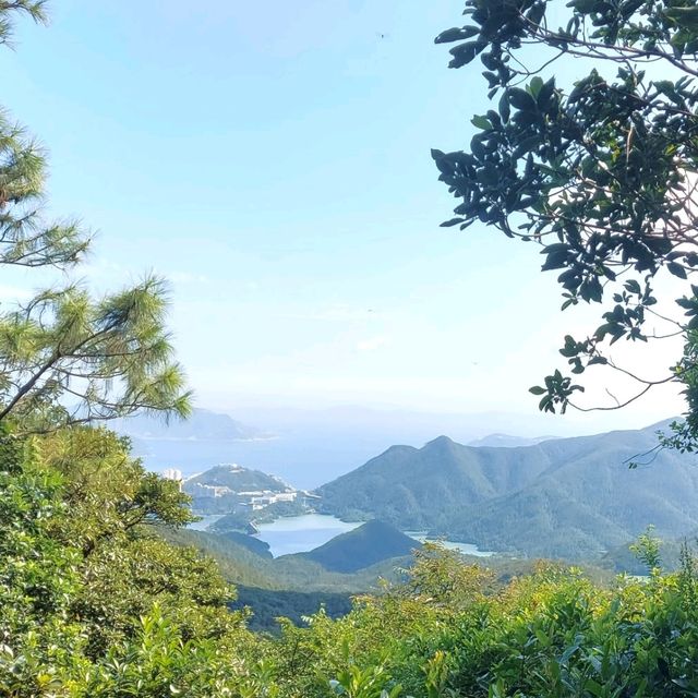 香港山峰⛰-畢拿山🏞🪵🏙