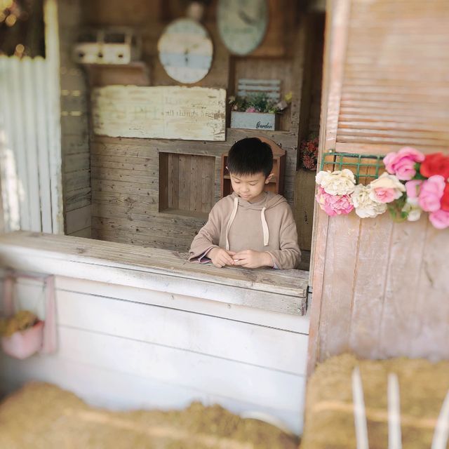 苗栗銅鑼 莫內的秘密花園 童趣鄉村