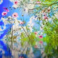 蜷川實花瞬間的永恆沉浸式藝術展