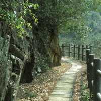 「星湖竹林：春天好去處，攝影愛好者的天堂」