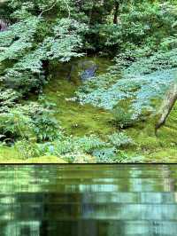 〜京都府〜暑くない！むしろ涼しい絶景🌱青紅葉のリフレクション