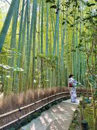 〜神奈川県〜1度は行こう🎋爽やか鎌倉の名スポット