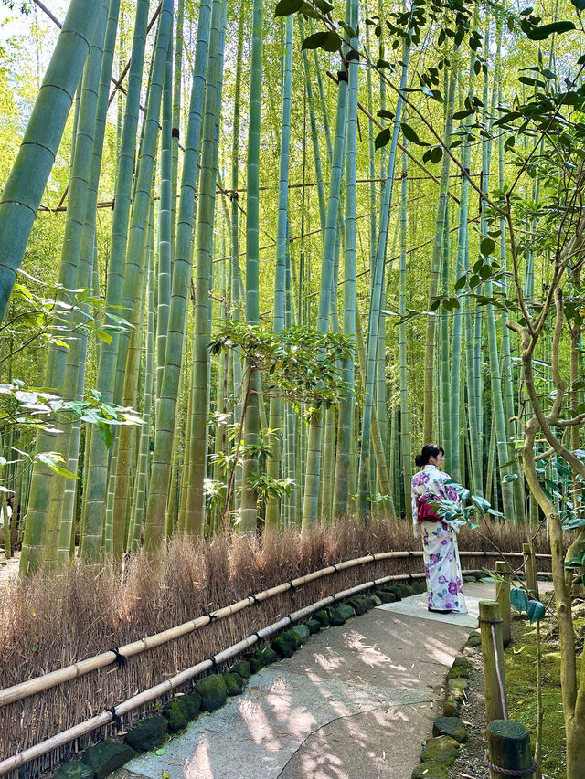 〜神奈川県〜1度は行こう🎋爽やか鎌倉の名スポット