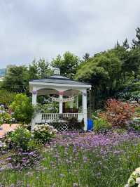 울산 수국축제 명소🌸 장생포고래마을 수국정원