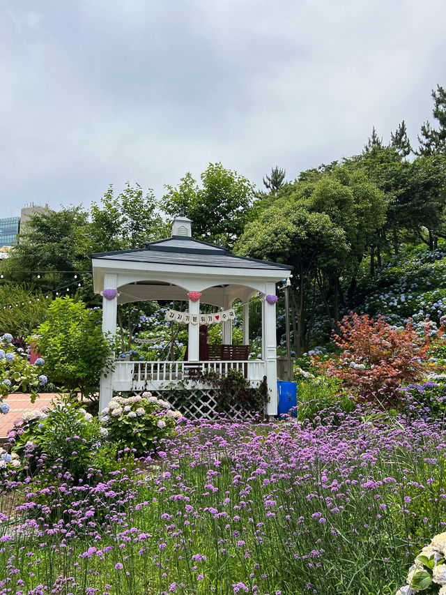 울산 수국축제 명소🌸 장생포고래마을 수국정원