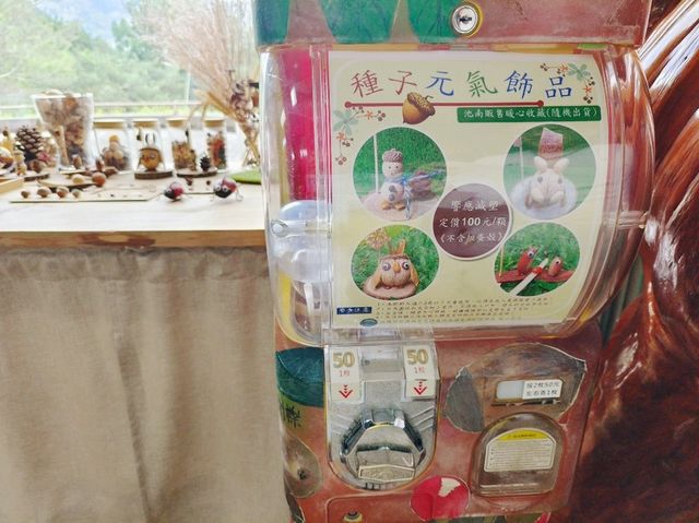 花蓮-池南國家森林遊樂區（扭蛋DIY)