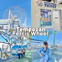 Tempozan Ferris Wheel  