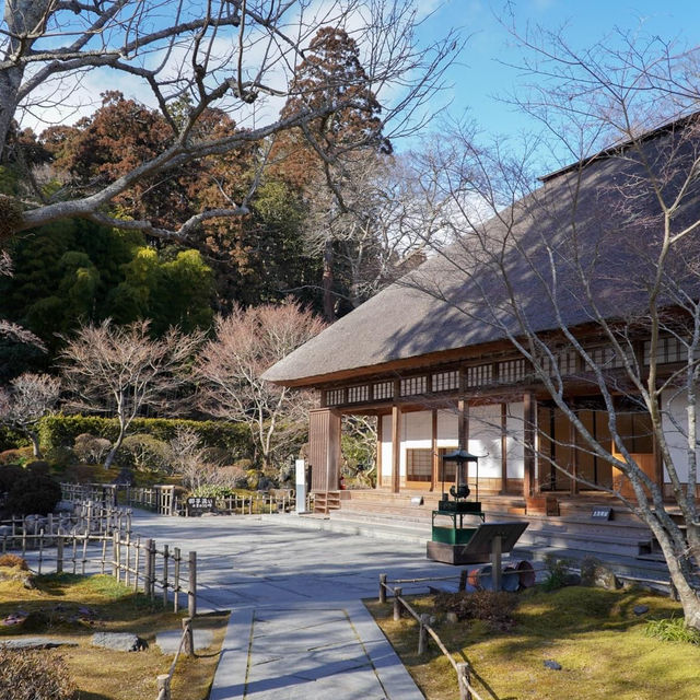 Sendai -   Hokkaido รอบเดียวเที่ยว 2 ภูมิภาค