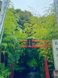 え、ココ神社なの?!えんむすび最強神社で癒されよう🤍