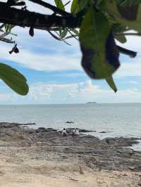 The Lighthouse of Cape Bali Hai
