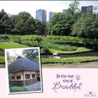 東京後樂園美麗日式庭園