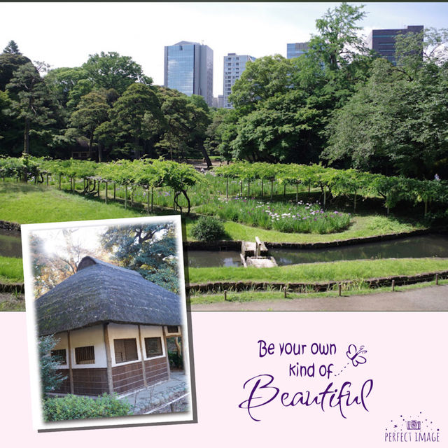 東京後樂園美麗日式庭園